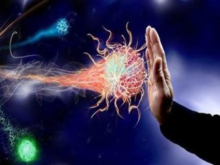 Giải pháp khắc phục viêm khớp dạng thấp hiệu quả, an toàn từ thiên nhiên